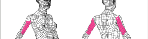 line_01.gif