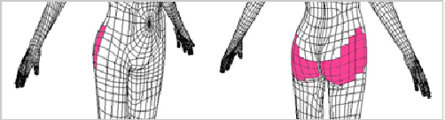 line_05.gif