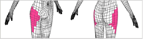 line_06.gif