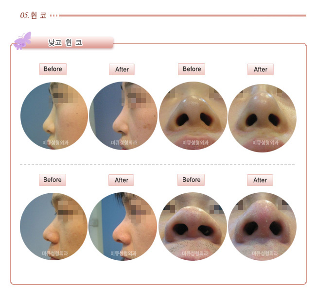 n5_5.jpg